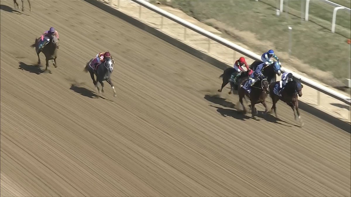 tvg laurel park