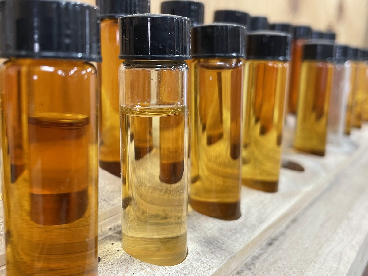 ErieCountyParks's tweet image. Did you know there are different grades of maple syrup? Maple grades are made of two components, color and flavor! Learn more about maple at our Tree Tap Maple Fest, March 25th from 12-4pm! 
#youreriecountyparks 
#findyournextadventure 
#10000acrestoexplore 
#maplefest
