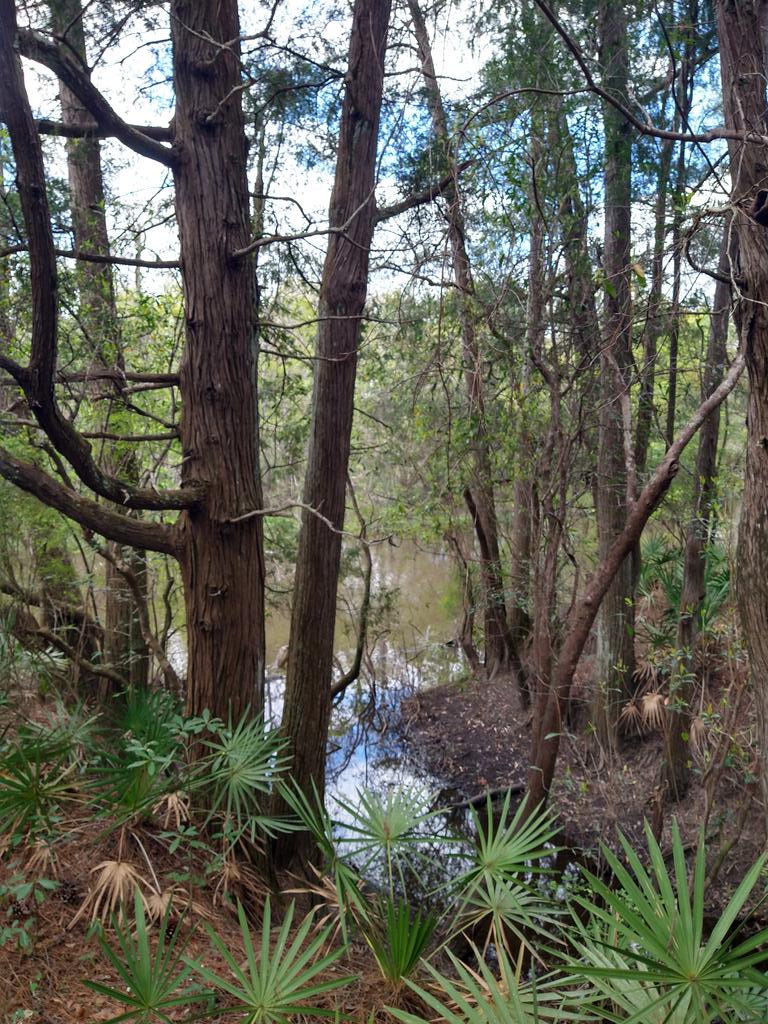 #photography #riverlife #fla