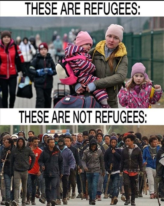 PittstSid nbr44 🇮🇹 an beautiful Cormack tweet media