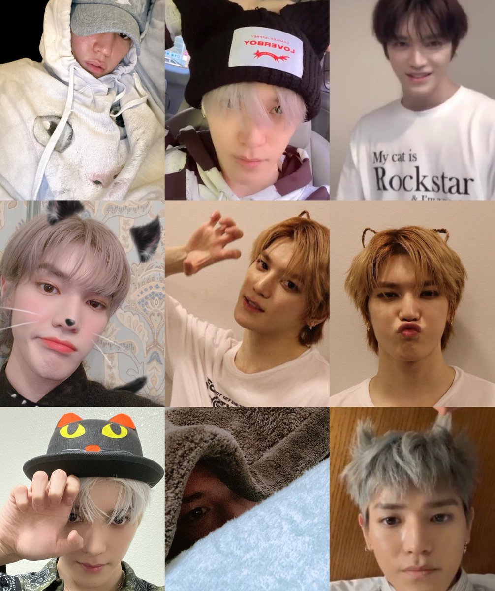 taeeeyongg's tweet image. Taeyong catboy agenda just continues to thrive