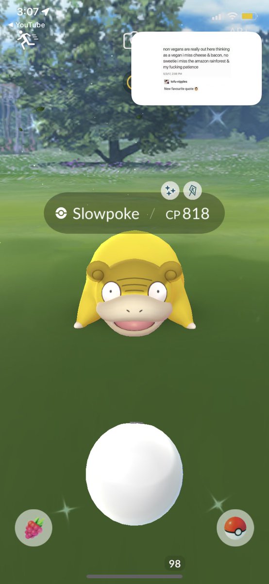 hufflepuffsRule's tweet photo. Hope everyone is having a great #slowpokecommunityday EXCEPT you @peta fuck you https://t.co/wX2DgAcTkG
