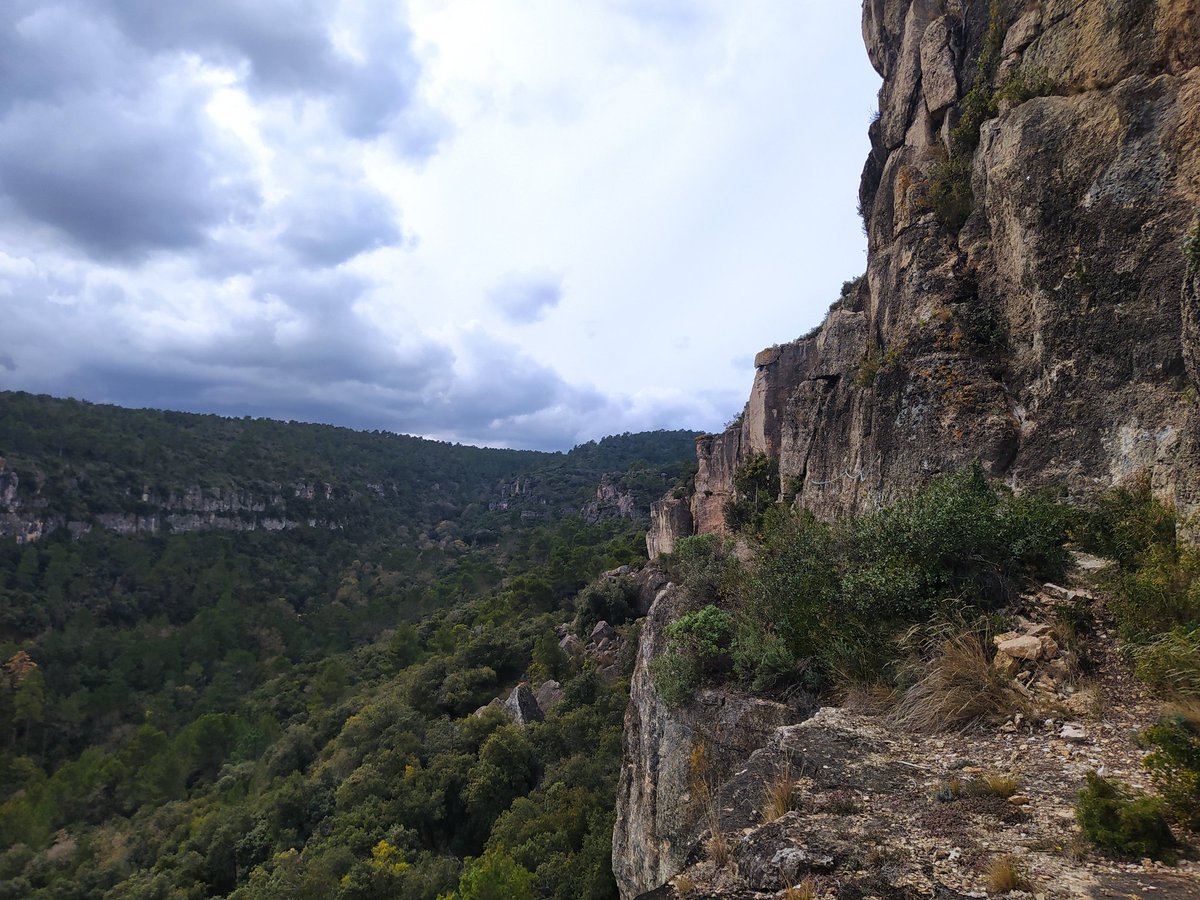 yfernand3's tweet photo. De nou passejant pels voltants de #Montblanc. Barrancs, roques i aigua (poqueta...). https://t.co/rKFCyMkZ6A