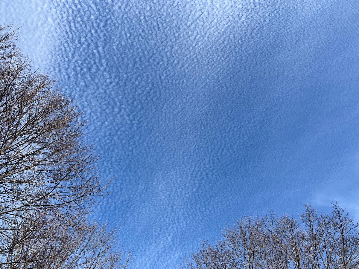 jlprince4's tweet photo. @boston25 The sky over Wakefield! https://t.co/HGmBUNiJnd