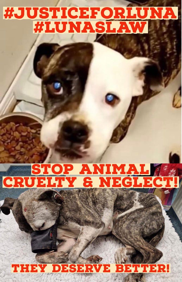 Beaney1872's tweet photo. #JusticeForLuna #LunasLaw https://t.co/XUPfl1XlXo