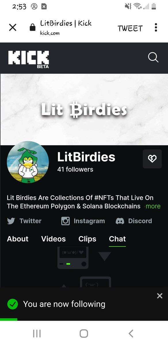 BingeOnCardano tweet media