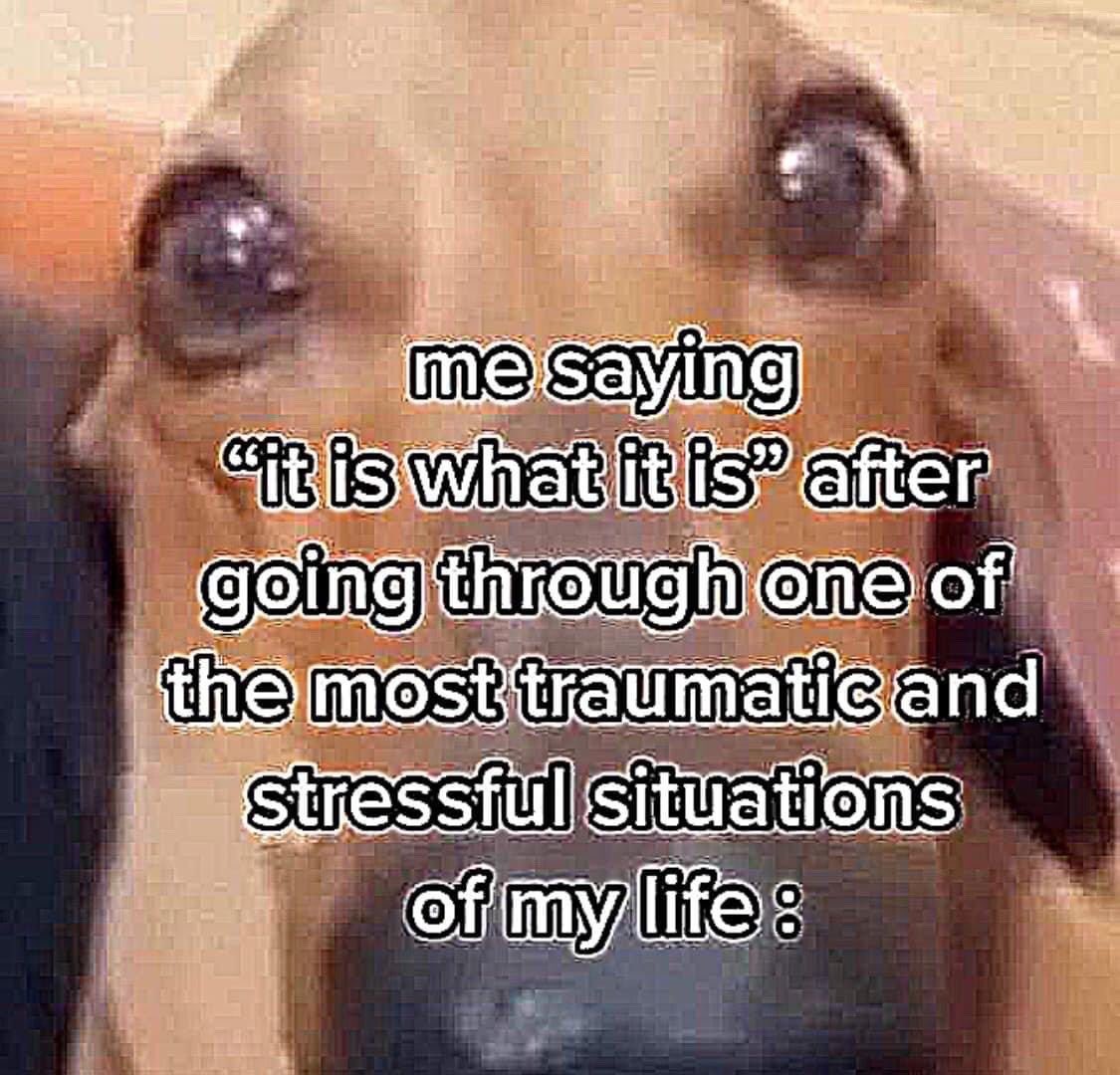 northstardoll's tweet image. 