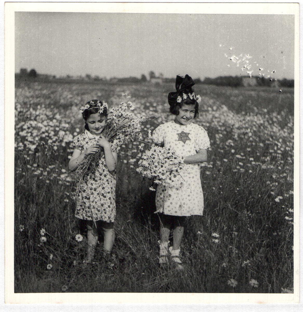 18 March 1935 | A Dutch Jewish girl, Mirjam Hoogstraal (left), was born in Apeldoorn.

In February 1944 she was transferred from Westerbork to #Theresienstadt and deported to #Auschwitz on 4 September 1944. She was murdered in the gas chamber with her sister Johanna Wilhelmina.