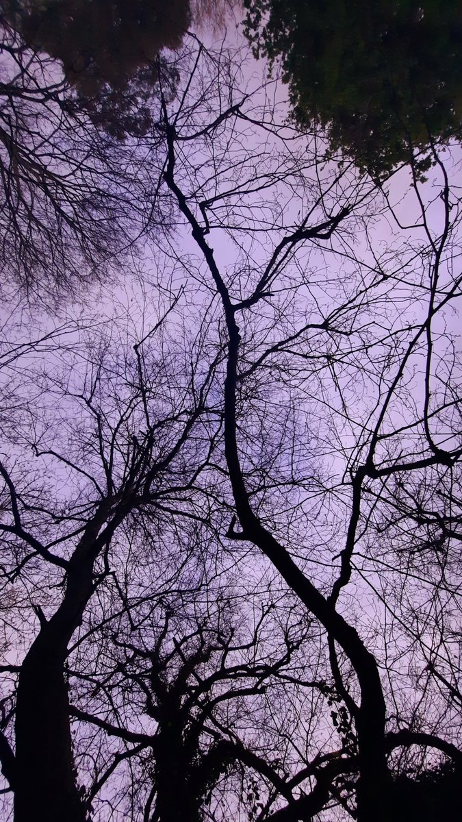 MeuRecuncho's tweet photo. "Creo que si miráramos siempre al cielo, acabaríamos por tener alas"

Gustave Flaubert.
#BoasNoites https://t.co/fH9OcFTD5G