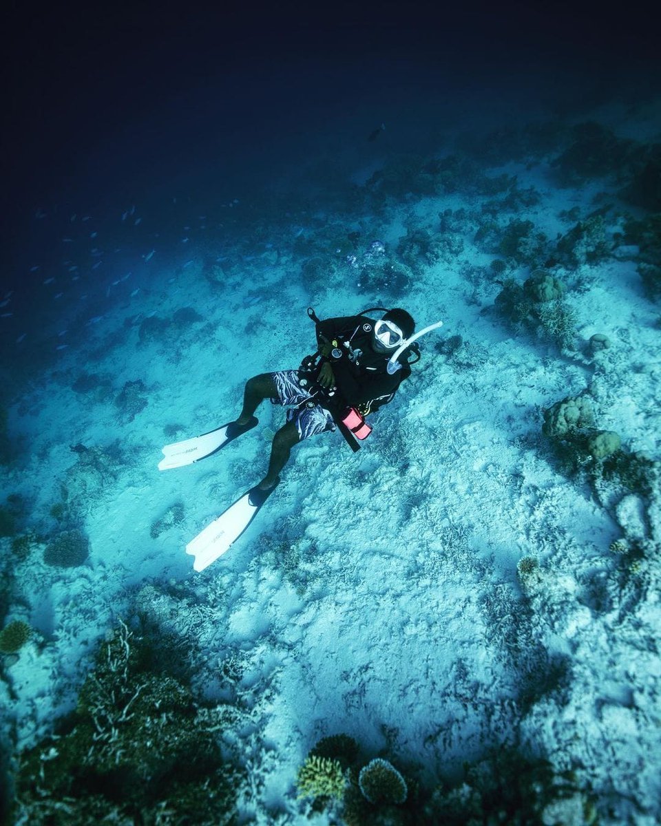 visitparadisemv's tweet photo. Where will you be diving this weekend?
📍Maldives
📸 @azym_ali
#blackwater
#buceo
#cavediving
#diverbliss
#divessi
#divetheworld
#diving
#divingisfun
#divingmagazine
#divingpassport
#divingphoto
#divingtime
#divingtrip
#iamssi
#instadive
#instadiving
#kings_underwater
#muckdiving https://t.co/9BjdVDOxET