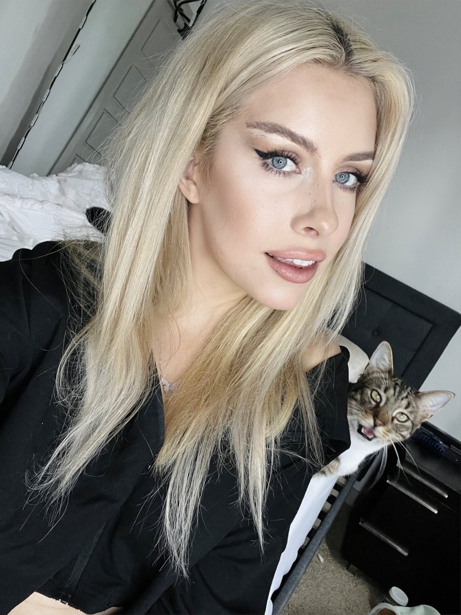 korimae on Twitter "Gm 😺"
