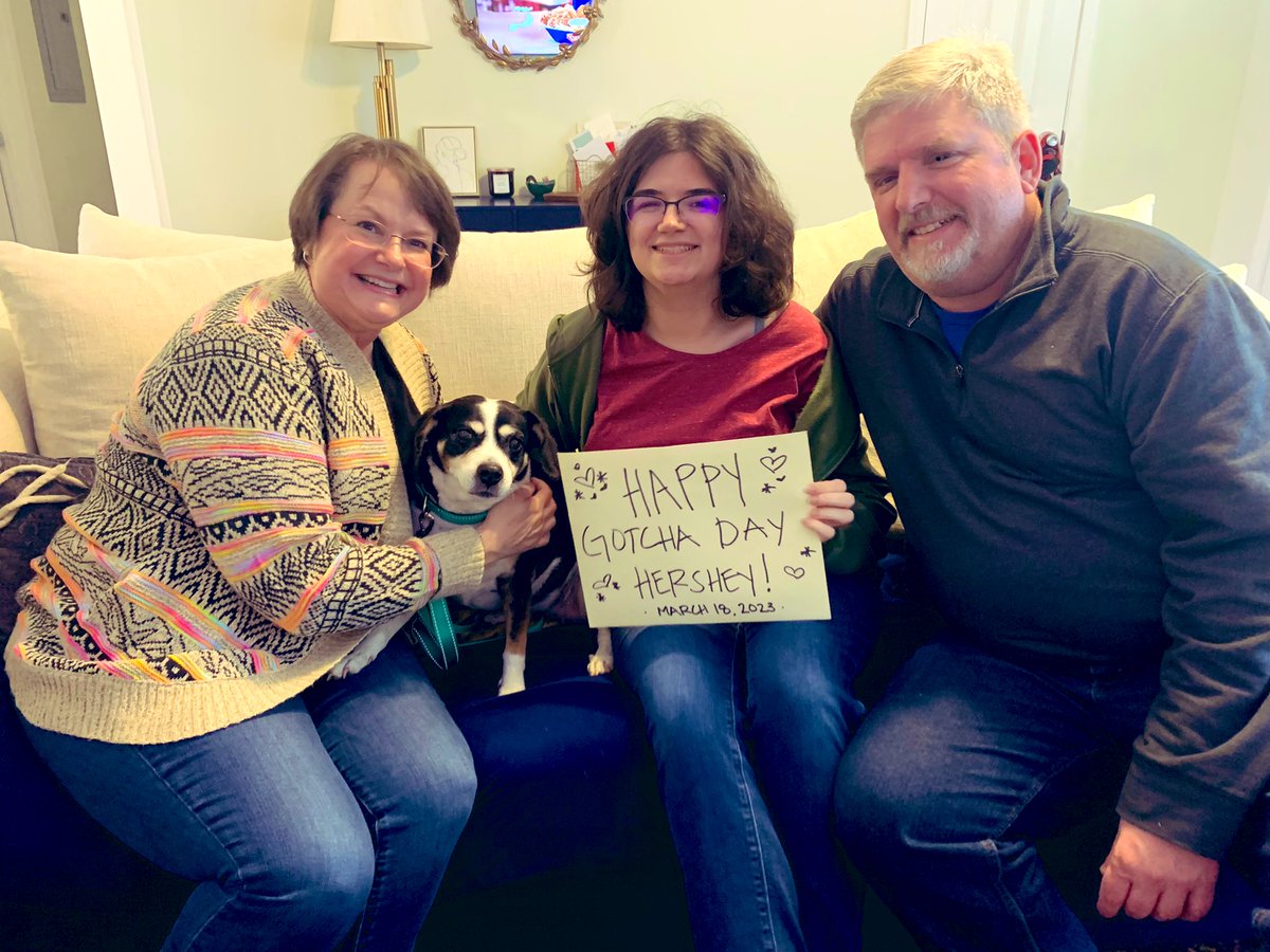 HAPPY GOTCHA DAY HERSHEY! I have been #beagle fostering her for over 1 yr hoping she’d find her people & perfect #FureverHome. Refused to rehome her a 6th time & thanks to #BeaglesOfTwitter & #dogsoftwitter family for keeping the faith for the Happily Ever After she deserves 💕