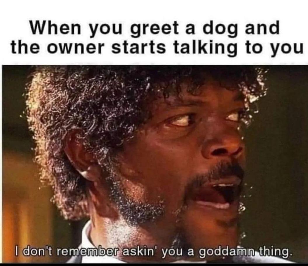 #dogproblems #DogsofTwittter