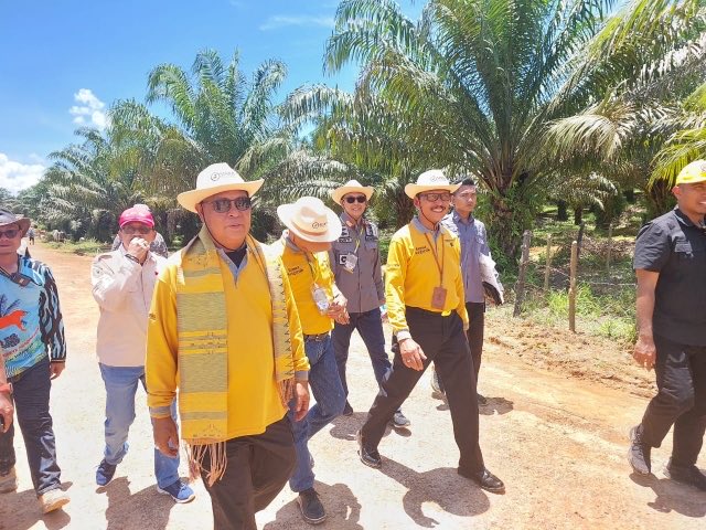 lpnkarangintan's tweet photo. Bersama Gubernur dan Mentan, Kakanwil Kemenkumham Kalsel Hadiri Panen Pedet Nasional dan Kick Off SISKA KU INTIP
 
@kumham_kalsel @lpnkarangintan
#KumhamKalsel #FaisolAli #LPNKarangIntan @lpnkarangintan #WahyuSusetyo
Kanwil Kemenkumham Kalsel | Faisol Ali https://t.co/Ki7BZsrjEw