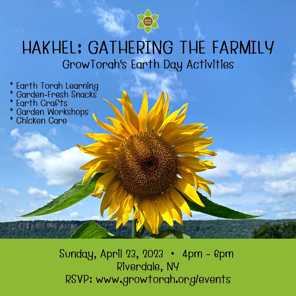 GrowTorah tweet media