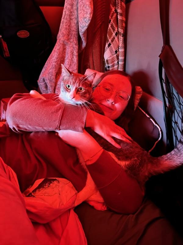 Thankfully hooms did not put da rectangle in my face for #Caturday but they teamed up and forced me to pose for it from afar by da end of da day...
#CatsOfTwitter #CatsAreFamily #catlovers