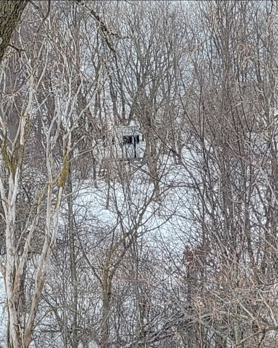 Often, blending into your surroundings is overlooked within mass-produced blinds.

Are you in a cedar pocket? Switch grass or CRP? Tree line in between food plots? 

Experience the Skyline difference! #huntingblinds #hunting #deerhunting #scentfree 
skylinehuntingblinds.com