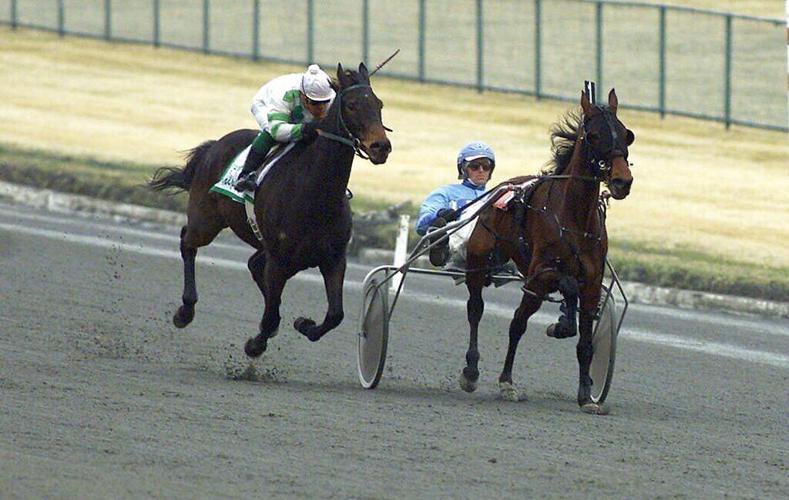 #OnThisDay in 2001, #ZippyChippy defeated harness racer Paddy’s Laddy in an exhibition race <a href="/RacewayFreehold/">Freehold Raceway</a> ,NJ.  Since the contest was only for entertainment purposes, Zippy Chippy remained without a win in 89 starts. #HorseRacing  #harnessracing 
📸: GMToday.com