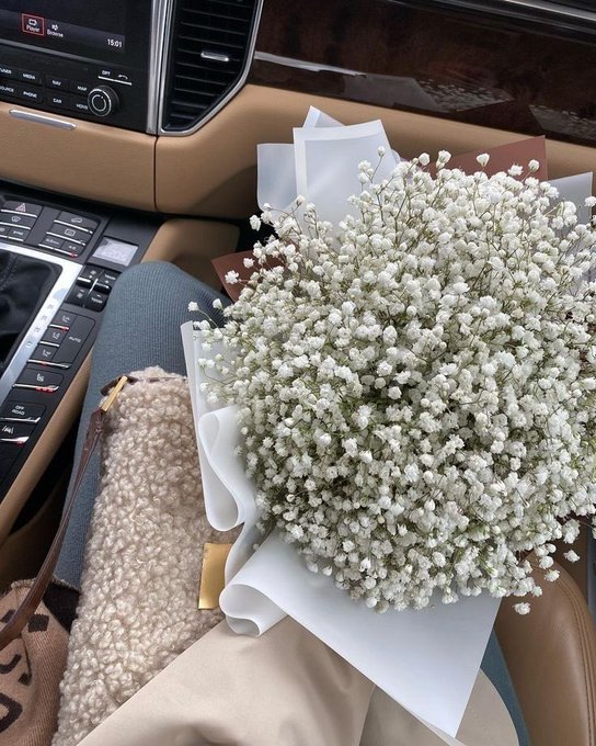 sys_irina's tweet photo. baby’s breath bouquet https://t.co/bdZ9w8GCSp