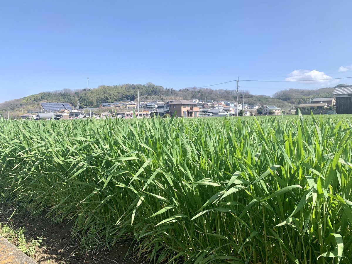 wrcdate's tweet photo. スクロールばかりしてる皆さん
目の保養に、
うちの庭からの景色をお届けします。
#これでいいのだ https://t.co/ncV08orq1B