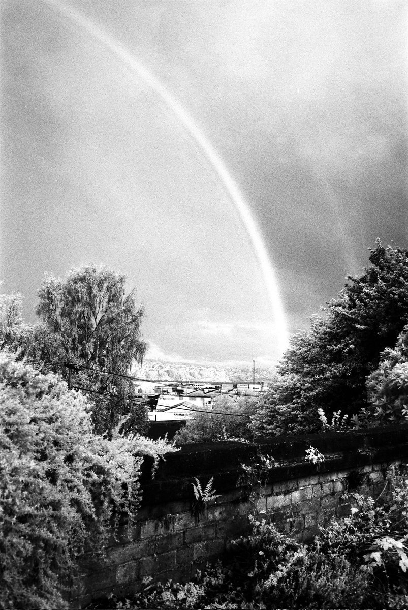 JoeyBabingus's tweet photo. Infrared rainbow 

🎞️: Rollei Infrared https://t.co/LZsovgQBiU