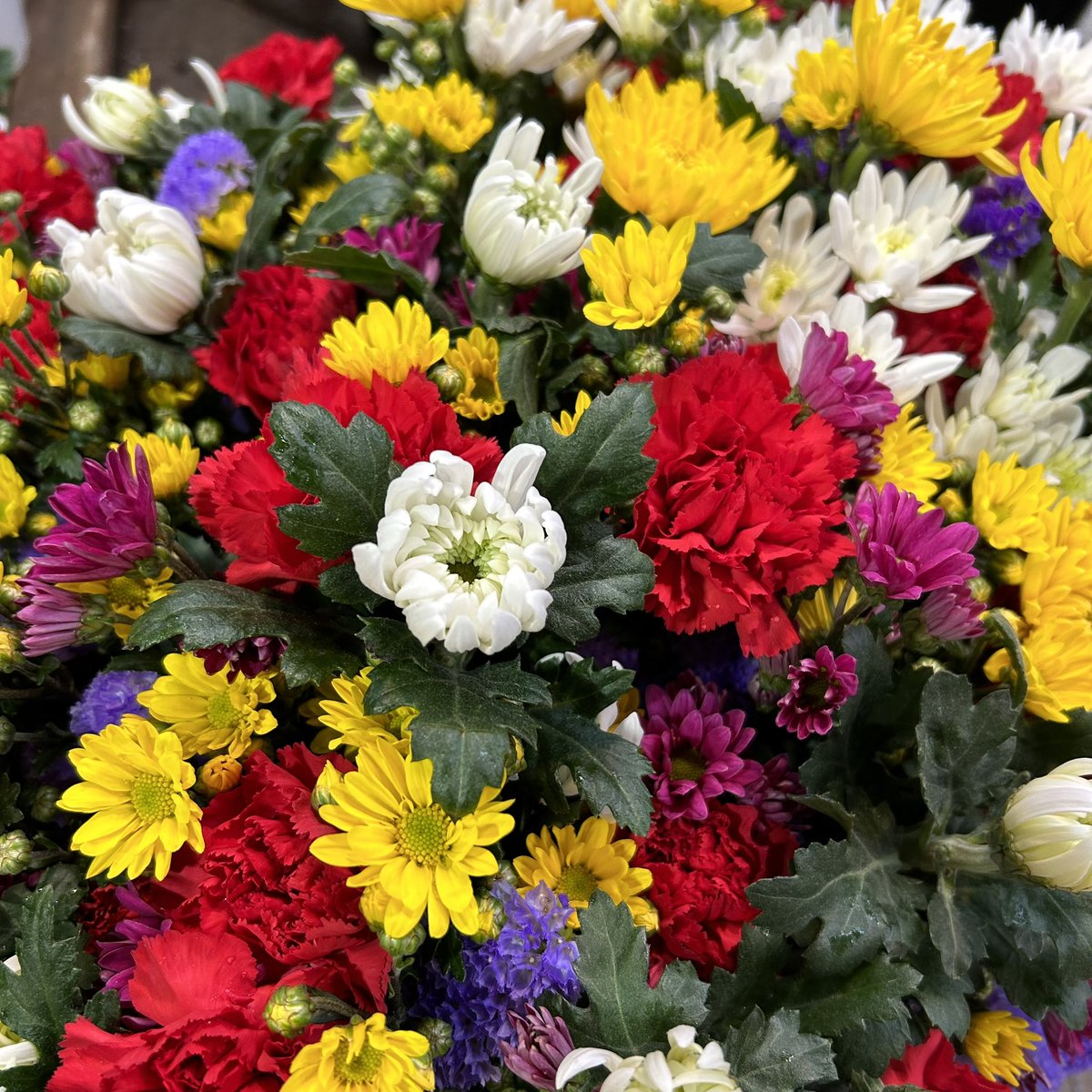 Sach77F's tweet photo. おはようござい���す！
お彼岸ですね。
お墓参りやお仏壇用のお花をたくさん準備してお待ちしております☺️

#横浜橋商店街
#横浜ハナミ　#はなみらい
#お彼岸 https://t.co/OIvYOZcJjb