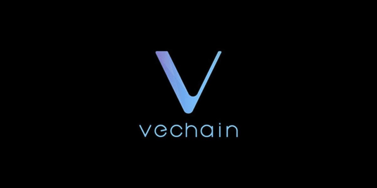 _ViiNrOcK's tweet photo. @vechainofficial @frascatizzi @carolinabndl @fabiorigam @ErikNucibella @KonderFabio @sunshinelu24 @KaneWills08 @solomon_grundle @VetMaik @vechaininsider LFG @DavidHu82814238 AND @vechain_soldier !!! REPRESENT #VechainGang @psychobeastsnft @Tradze_Town @vechainofficial https://t.co/5lCYvAmblv