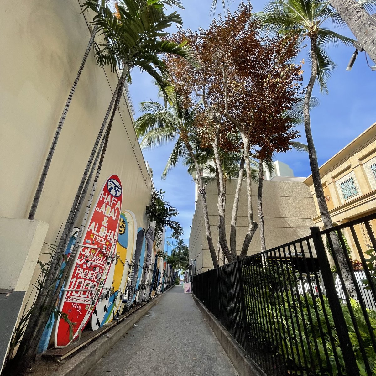 HonoluluBig's tweet photo. ハワイからおはよう☀🌴🌺🌈🏖
#aloha
#爽やかな朝です
#朝のハワイ
#海が青い　
#空
#ブルー
#ハワイの海
#ハワイの空
#イマソラ
#ALOHA
#ハワイ
#朝
#ホノルル
#ワイキキ
#感謝
#ありがとう
 #hawaii
 #waikiki
 #honolulu
#bigmahalohonolulu https://t.co/Co0oYoxsxf