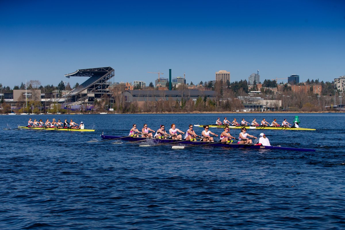 Washington Rowing tweet media