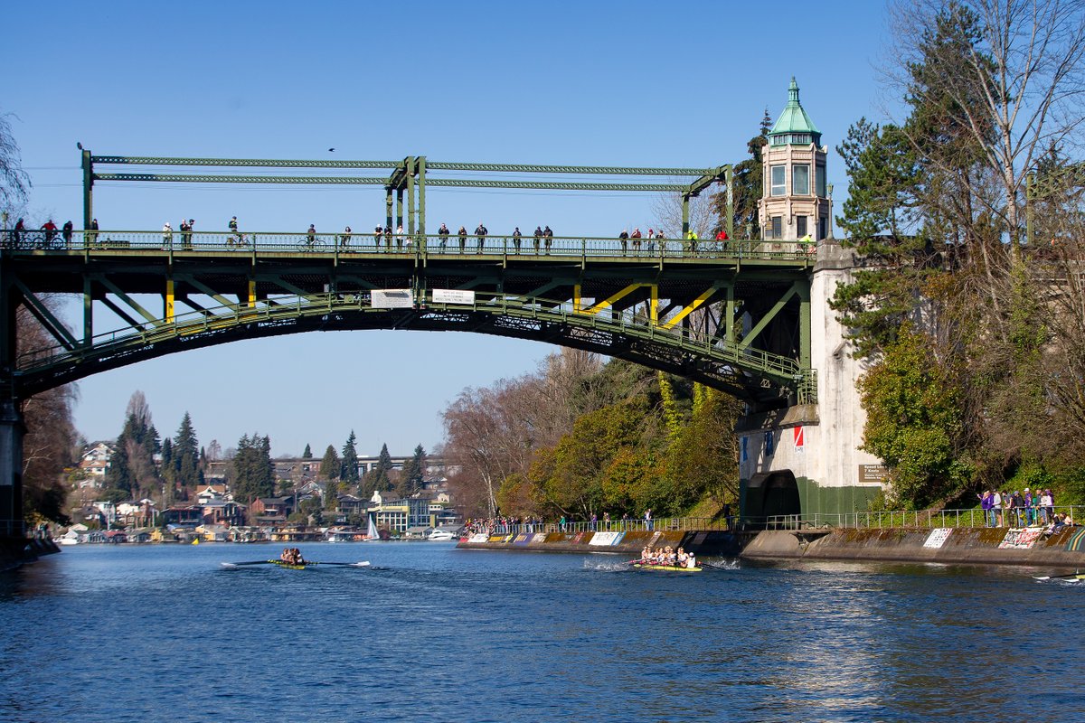 Washington Rowing tweet media