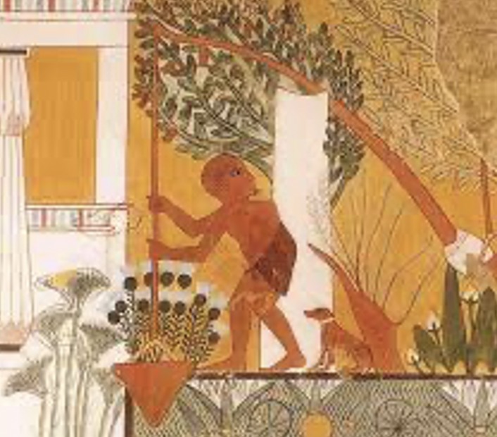 HistoryEgypt's tweet photo. Well Sweep: human powered: the bucket can be made of dipping bag can be made from Reed or Animal Skin and the counter balance is made from Mud. This was especially used to irrigate the fields when the Nile is at a low ebb #historyofegypt #unlockegyptspast #egypt https://t.co/yTiDw0BI2v