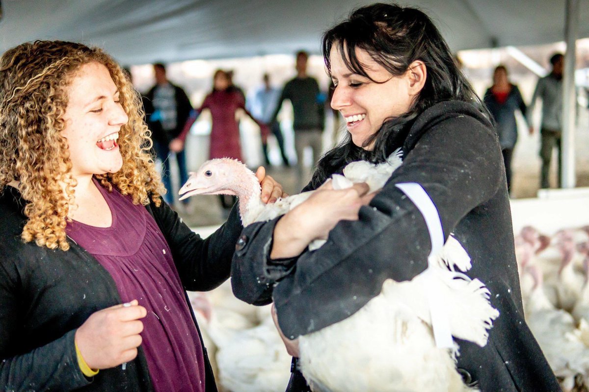 Zoe_Rooster's tweet photo. Rescuing animals is not a crime. Rescuing animals is not wrong. Rescuing animals is not theft. For far too long, corporations have controlled the narrative. But slowly but surely, the world is starting to see the animals’ side of the story. The world is starting to see the suffering animals endure. The world is starting to see their desperate need to be rescued, no matter what it takes. I am so proud of my friends @aliciasanturio and @alexandra_paul for  bringing us one step closer to animal liberation. They convinced a jury of 12 in a conservative county that rescuing animals is not a crime, but an act of compassion.

I’ve known Alicia for around 8 years now. We have rescued and cared for so many animals together. This picture was taken while we were rescuing 100 turkeys from a slaughterhouse. Alicia is one of the most selfless people I know. It’s 100% about the animals for her, always. Alexandra is the same. I’ve known Alexandra for about 7 years. I first met her when she came to my animal sanctuary and I could see how much animal rescue meant to her. I was so nervous when the verdict was being read yesterday, and I am beyond grateful that the jury saw Alexandra and Alicia’s actions for what they were. I am so glad they could see that they are just compassionate individuals trying to do the right thing.

The tide is changing. We are living in a historic era in the fight for animal rights. Please, join us and be on the right side of history.

#RightToRescue #FosterFarmsTrial