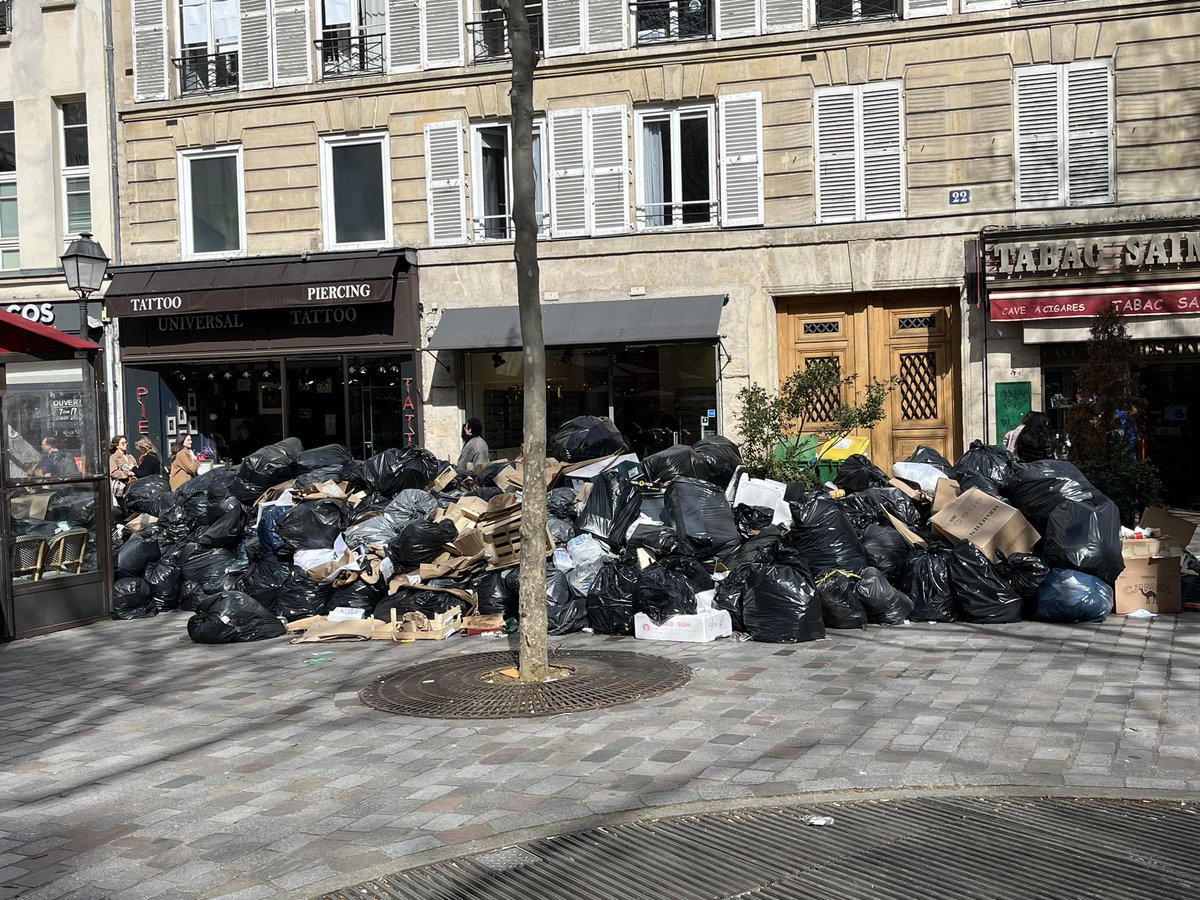 kerry moss tweet media