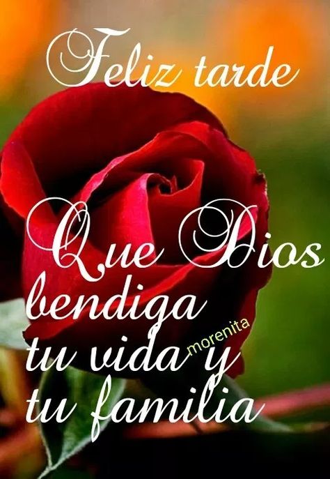 Feliz tarde mi gente y que Dios los bendiga 🤗🙏🏼✨💯

@YoseleidyBrito2 @damorenoVzla
@YuniBurgos @JosRodi6
@CaroCarreroCC @VillegasPoljak
@rico_marelis @TorrUgenia

#GuerraContraLaCorrupción