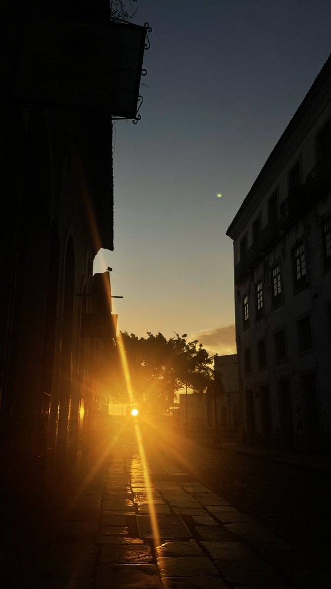 reneamorim's tweet photo. Encantador! De todos os ângulos! 
São Luís tem o melhor pôr do sol do mundo. 
Sem mais! ♥️ https://t.co/XTg1f1eMqF