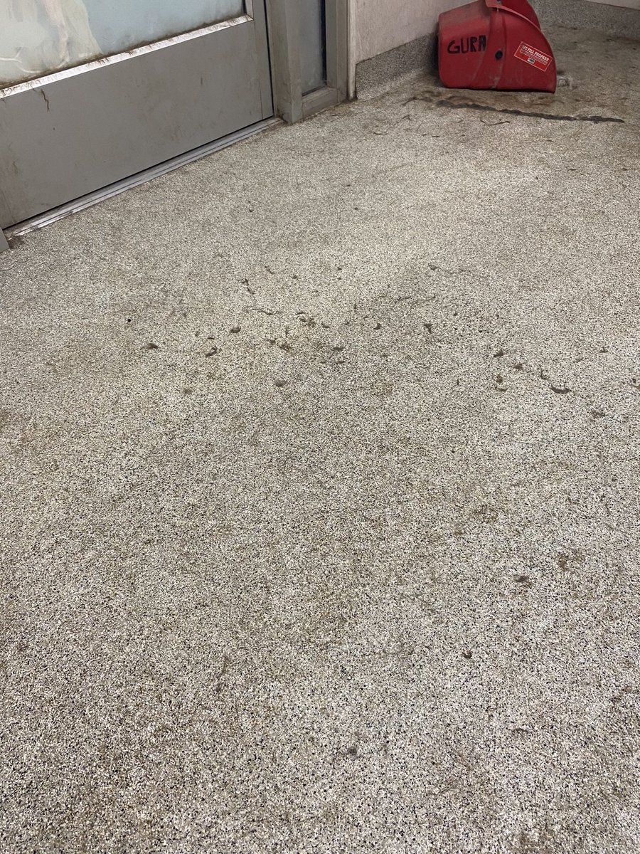 KerrieRene's tweet photo. Hi @TractorSupply! We’d like to share some feedback from our recent visits to our local TS. Their dog wash has become so consistently disgusting that we will no longer use it. Went again today and was again disappointed. We don’t expect it to be spotless but this was just gross. https://t.co/1WNh3BlcCV