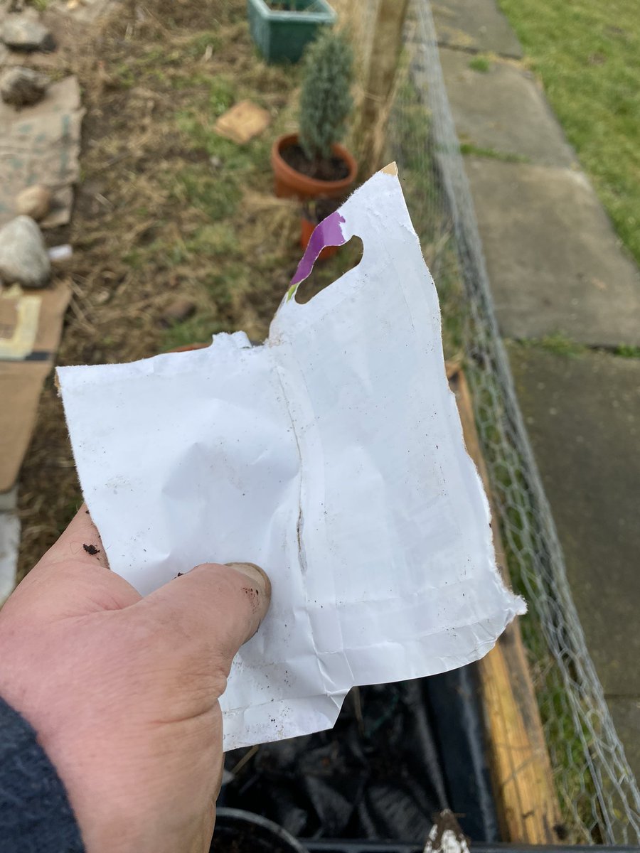 Am I the only one who rips open the seed packets to make sure I get every seed out?