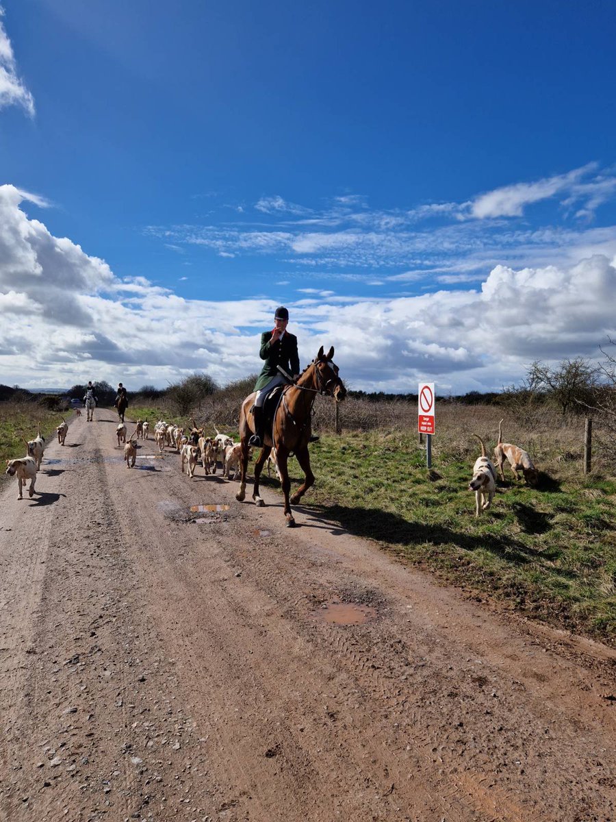 Reading Hunt Saboteurs (@readinghuntsabs) on Twitter photo โผ๏ธ๐๐ฎ๐ฅ๐ญ๐ข๐ฉ๐ฅ๐ ๐๐จ๐ฑ๐๐ฌ ๐ฌ๐๐๐ง ๐ญ๐จ ๐ฌ๐๐๐๐ญ๐ฒ - ๐ก๐จ๐ฎ๐ง๐๐ฌ ๐ฅ๐จ๐ฌ๐ญ ๐ข๐ง ๐ข๐ฆ๐ฉ๐๐๐ญ ๐๐ซ๐๐โผ๏ธ
Long day sabbing the Royal Artillery Hunt with <a href="/Plainhuntsabs/">Salisbury Plain Hunt Sabs (Moonrakers)</a>, <a href="/NDHuntSabs/">North Dorset Hunt Saboteurs</a>, Salisbury Plain Monitors & Dorset Against Bloodsports.
Hit report to follow ๐ โผ๏ธ๐๐ฎ๐ฅ๐ญ๐ข๐ฉ๐ฅ๐ ๐๐จ๐ฑ๐๐ฌ ๐ฌ๐๐๐ง ๐ญ๐จ ๐ฌ๐๐๐๐ญ๐ฒ - ๐ก๐จ๐ฎ๐ง๐๐ฌ ๐ฅ๐จ๐ฌ๐ญ ๐ข๐ง ๐ข๐ฆ๐ฉ๐๐๐ญ ๐๐ซ๐๐โผ๏ธ
Long day sabbing the Royal Artillery Hunt with <a href="/Plainhuntsabs/">Salisbury Plain Hunt Sabs (Moonrakers)</a>, <a href="/NDHuntSabs/">North Dorset Hunt Saboteurs</a>, Salisbury Plain Monitors & Dorset Against Bloodsports.
Hit report to follow ๐