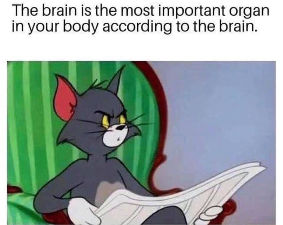 Spill The Memes On Twitter