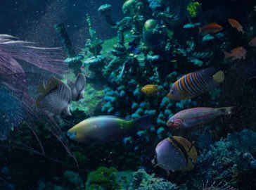 Prof. Michael Sweet tweet media