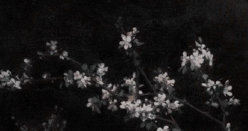 fornewts's tweet photo. ♡ for a starter of varying length , selective. https://t.co/HW4QperDfl