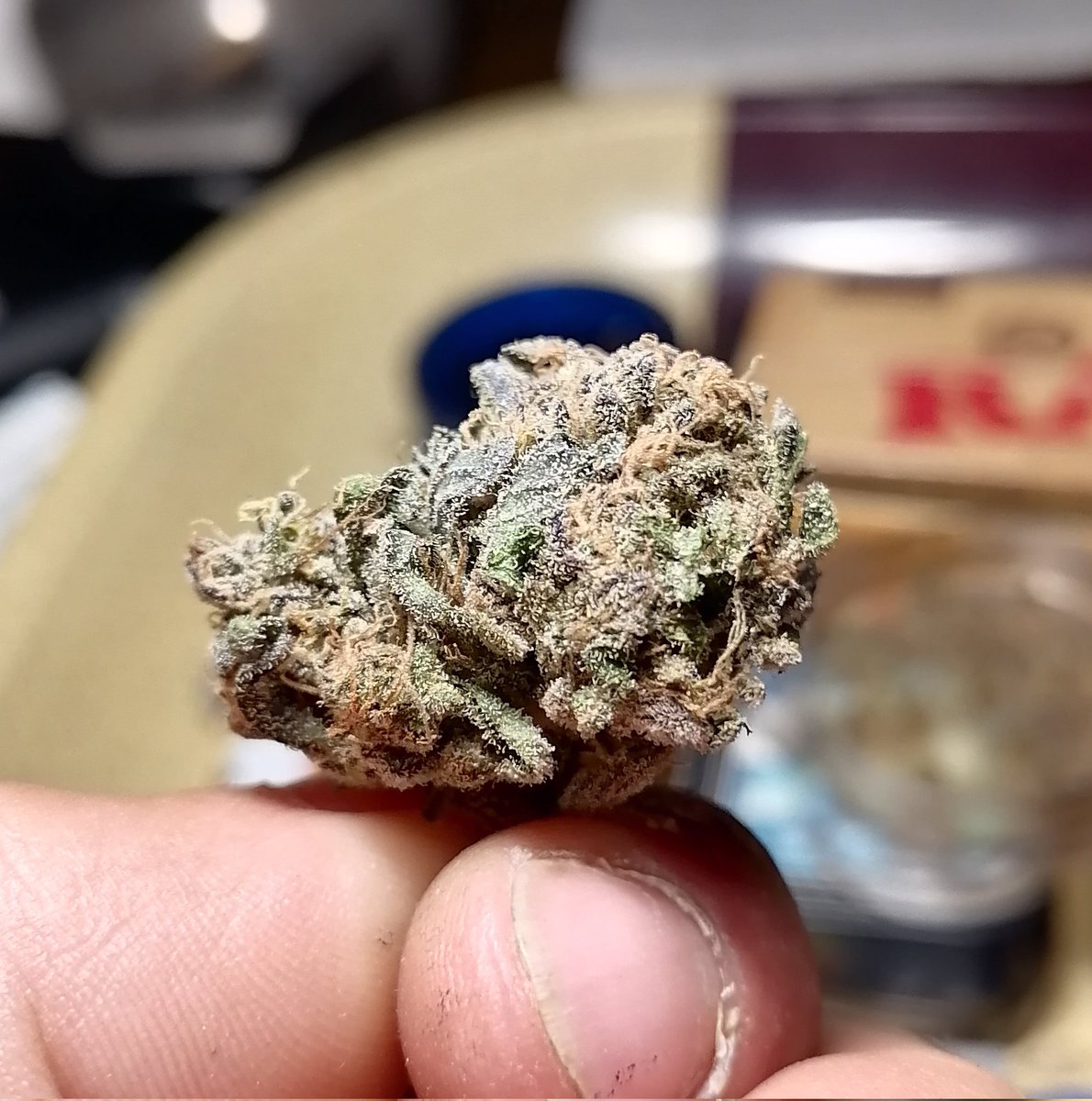 XavierNerjaLM's tweet photo. #WinterTHC #WinterCBD https://t.co/PCLJq2FT6D