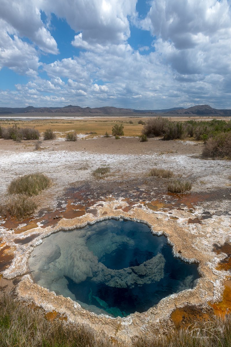 ☮I live with and love that she's an educated women on Twitter "RT thegaryarandall A Hot