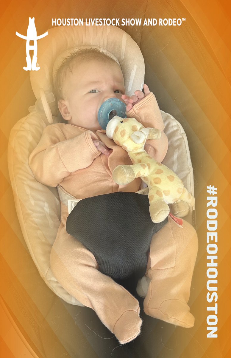 gregallen23's tweet photo. #rodeohouston https://t.co/54i7MhDSKY