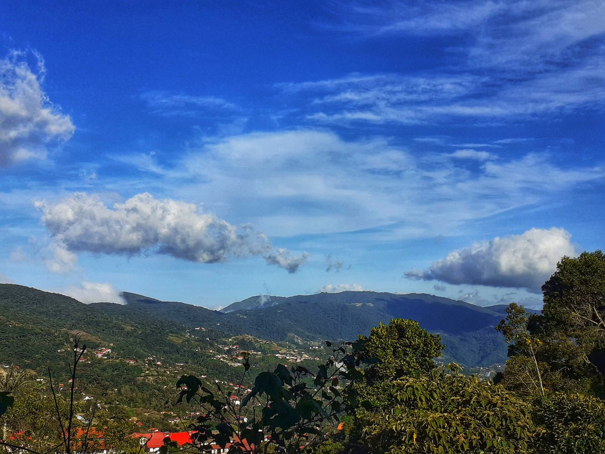 CTovar03's tweet photo. Feliz tarde #coloniatovar #aragua #Venezuela #gutectag https://t.co/H3ErBO8oIc