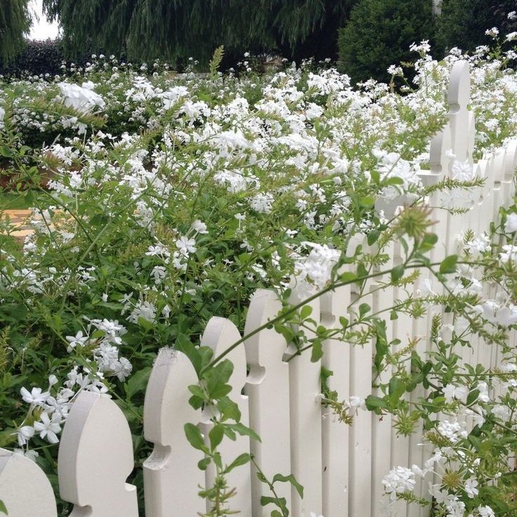 pinmebee's tweet image. I wanna jump in this aesthetic. 🌼
#aesthetic #spring #springfeeling #softcore #pinterest