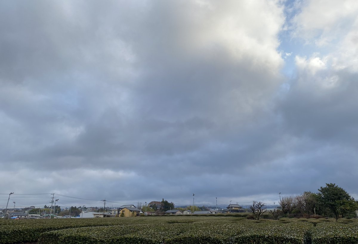 🌸2023年3月19日（日）6:45🌸 皆さん🎶おはようございます😊 曇り空です☁️現在気温は8℃、日中も陽射しは期待薄の☁️☁️予報です。気温差で体調を崩さないよう十分ご注意下さい💐🍵 「ケサフジ」🗻👸お休み継続中です😴(^^)本日も素敵な一日をお過ごし