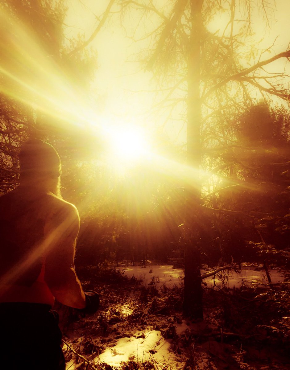 2_run26's tweet image. How today’s run through the forest in the snow storm felt in my head ❤️ #winterrules #runmore