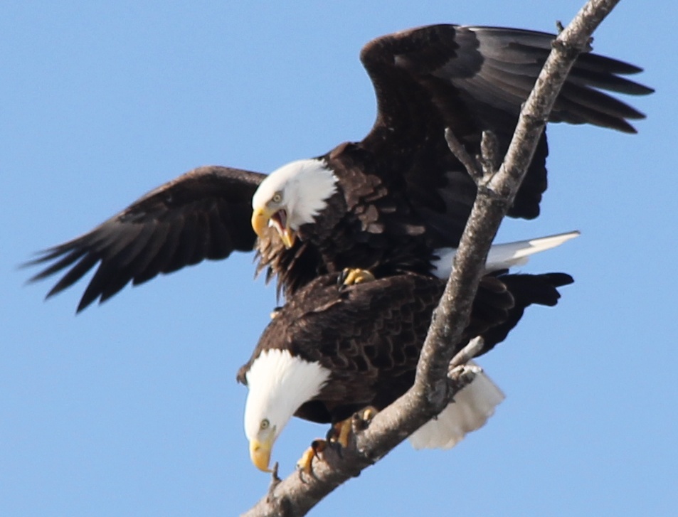 Feb 26 2020 Lincoln Rd Fredericton Canada