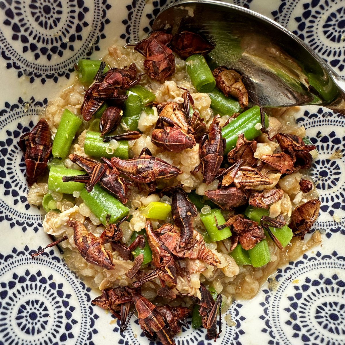 Comforting bowl of chili grasshoppers, string beans, asparagus, eggs, onions, and garlic with a brothy three grain mixture (brown rice, quinoa, barley).